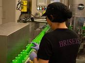 Tulipán Negro; evolución aroma nunca deja reinventarse