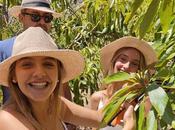 Tahodio Avocado Experience abre puertas octubre; inmersión sensorial corazón verde