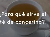¿Para sirve cancerina?