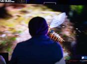 revolución visual llega gaming: presenta nueva línea OLED QNED inteligencia avanzada rendimiento extremo