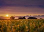 Cabañas Sierra Huelva: descubre mejores alojamientos