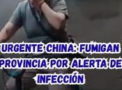Urgente China: Fumigan provincia alerta infección