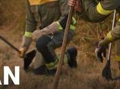 Arco Vella (contra incendios)