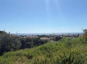 Hipoges saca venta 7.500 suelos residencial, industrial rústico toda España