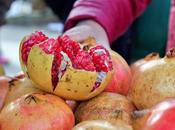 Agricultura Elche: Tradición Innovación Camp d’Elx