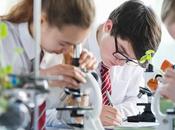 Esto Noticia analiza papel formación profesional como estratégica hacia empleo