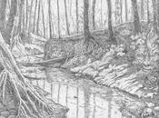 Nemorous anuncia álbum debut «What Remains When Hope Failed»