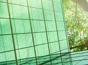 Grupo Atos recibe sexto consecutivo Medalla Platino EcoVadis