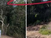 Ruta Serra Galliners: ascendiendo Turó Mataric Camps Sant Cugat Vallès