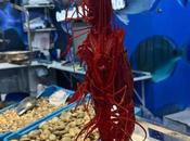 Pescadería Younes Ceuta refuerza presencia Mercado Central marisco vivo atención WhatsApp