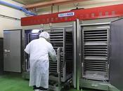 ultracongelación nitrógeno