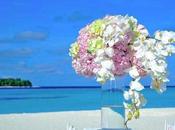 mejor hotel Maldivas: guía completa para elegir