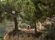 forn rural Montmajor: tarifas reservas