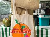 Inspirado Belchior, CRERSP0 lanza «Apenas Mano Latino-Americano» eleva diálogo entre