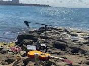 Tere Priore estrena Amor mano