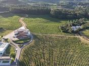 Difersa Primavinia S.A. Bodegas Terras Gauda firman acuerdo distribución exclusiva Pontevedra