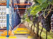 Difersa Primavinia alcanza millones euros 2024 afianza crecimiento sector vino gallego