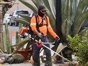 programa Capital mejoran espacios públicos distintos puntos ciudad