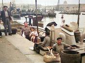 Barrio Pesquero: llegada pesca