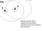 ¿Por especies conjuntos arbitrarios?