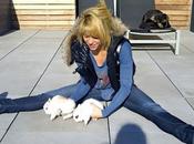 Shakira presenta Twitter mascotas