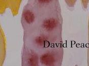 1983, David Peace