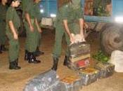 Operativo Gendarmería: Secuestran 2500 kilos marihuana