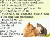 premeditación... ortografía (43)