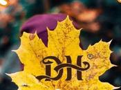 Bienvenido, Noviembre,