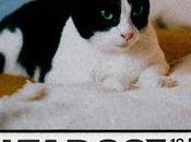 Serielizados Fest '25: Parte Programación presencial