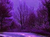 Raul Xenofonte Daydream Delusion (2013)