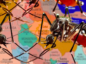 Potencial amenaza epidemias mosquitos dominicanos.