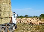 BioPalacín Planet consolida mercado gracias aumento valor consumidor otorga alimentos