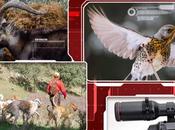 Nuevo espacio Trofeo Caza; entorno interactivo acceso libre contenidos especializados