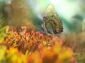 Gold Steps compromiso cada paso; conversación sobre consciencia fragilidad