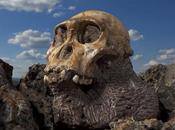 ¿Cuánto sabes sobre evolución humana?Evolución humana:...