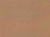 Vida milagros Antonio Gómez