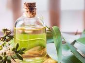 Esenciaspa, esencia sauna; bienestar real esencias eucaliptus menta