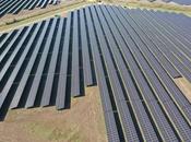 Asset Management experto para energía renovable, cómo BayWa r.e. maximiza valor minimiza riesgos