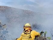 Fortalecen estrategia estatal contra incendios forestales