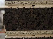 Bioconstrucción, nuevo enfoque Caliplac para fabricación paneles sándwich