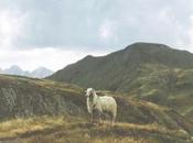 Mcenroe: vida libre'