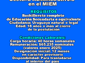 Gestor-a Administrativo-a MIEM