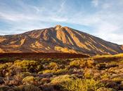 Disfrutar Canarias talento Mujeres World Fest