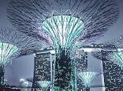 ¿que futuro espera?