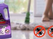 Limpieza profunda protección total contra insectos rastreros