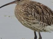 ODISEA CANTÁBRICO Parte