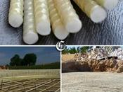 Varillas polímero reforzado fibra vidrio (GFRP)