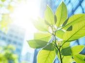 HUMEX refuerza compromiso sostenibilidad para hogar responsable respetuoso planeta