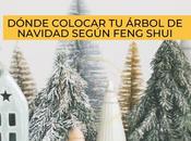 🎄Descubre rincón mágico hogar: ubicación perfecta para árbol Navidad según Feng Shui.
